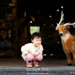 南宫平台的风险控制与投资建议 52hh2