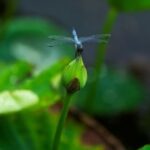 NG28与物联网的结合:未来智能生活的蓝图 6hmr6l