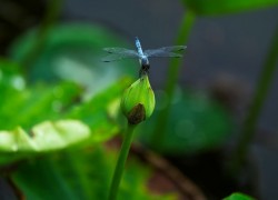 NG28与物联网的结合:未来智能生活的蓝图 NG28与物联网的结合:未来智能生活的蓝图