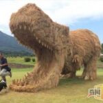 南宫平台的移动端应用使用体验 6onx8fqpb