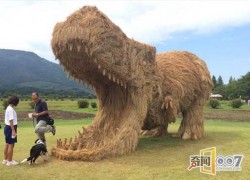 南宫平台的移动端应用使用体验 南宫平台的移动端应用使用体验
