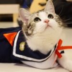 南宫平台的手续费结构与透明度 6t08vn