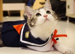 南宫平台的手续费结构与透明度 南宫平台的手续费结构与透明度