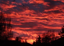 南宫平台的技术支持与系统稳定性 南宫平台的技术支持与系统稳定性