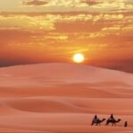 ng导航在企业网站中的最佳实施方案 7qxza