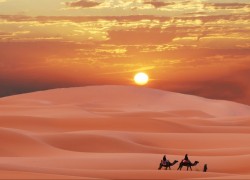 ng导航在企业网站中的最佳实施方案 ng导航在企业网站中的最佳实施方案