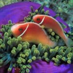 南宫旗下PG的产品线扩展与市场需求对接 7ulgg8j5