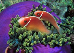 南宫旗下PG的产品线扩展与市场需求对接 南宫旗下PG的产品线扩展与市场需求对接