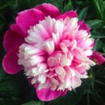 使用ng导航构建响应式网站的有效方法 8zmj4s906k