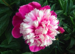 使用ng导航构建响应式网站的有效方法 使用ng导航构建响应式网站的有效方法