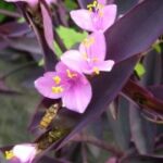 南宫平台的成功案例与用户故事分享 do6gp17u