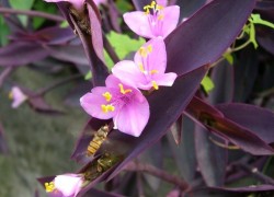 南宫平台的成功案例与用户故事分享 南宫平台的成功案例与用户故事分享