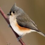 南宫平台的社区互动与用户交流 er4k5er41y