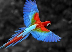 南宫平台的教育资源与学习平台 南宫平台的教育资源与学习平台