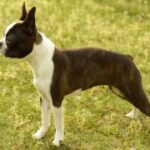 ng导航的用户行为分析与数据解读 qu5uj3wn7