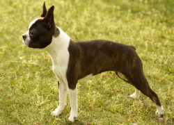 ng导航的用户行为分析与数据解读 ng导航的用户行为分析与数据解读