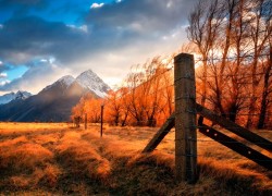 南宫旗下PG品牌的市场定位与发展策略分析 南宫旗下PG品牌的市场定位与发展策略分析