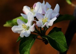 NG28在物流管理中的应用与效率提升研究 NG28在物流管理中的应用与效率提升研究